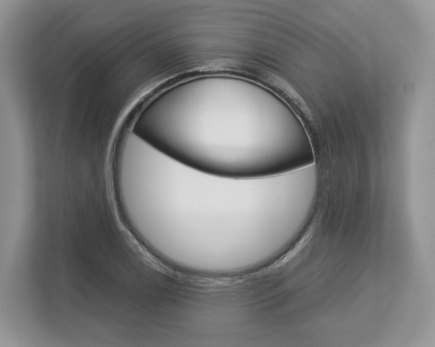 X0000113011122200908270934