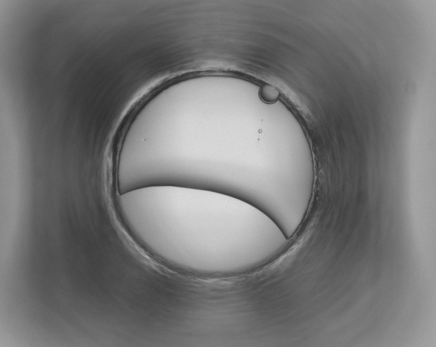 X0000113011126200908270934