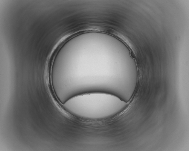 X0000113011131200908270934