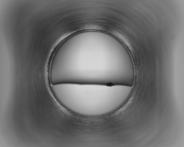 X0000113011133200908270934