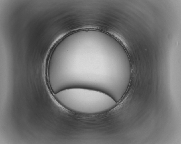 X0000113011135200908270934