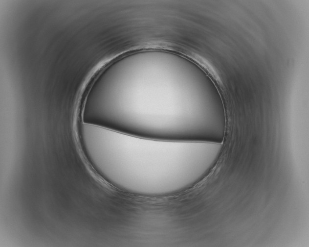 X0000113011136200908270934