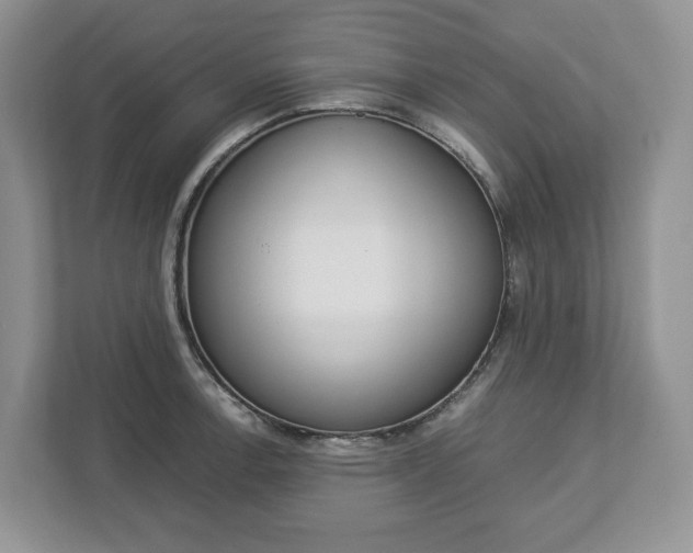 X0000113011138200908270934