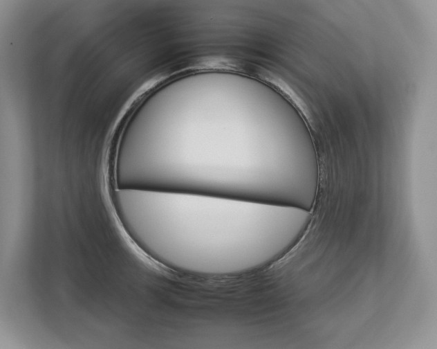 X0000113011139200908270934