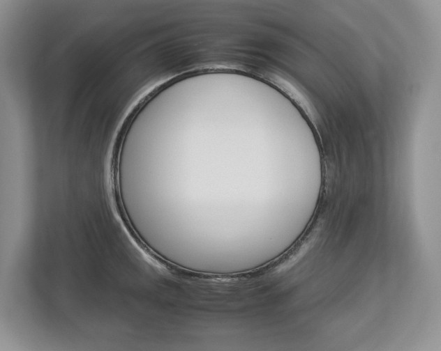 X0000113011141200908270934