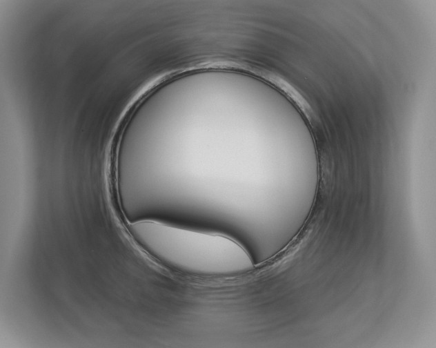 X0000113011142200908270934