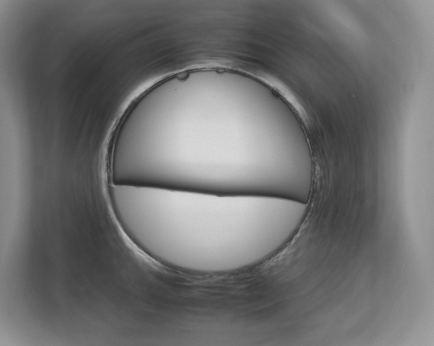 X0000113011143200908270934