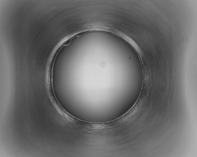 X0000113011144200908270934