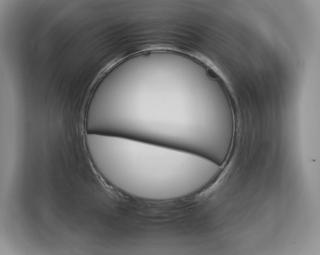 X0000113011145200908270934