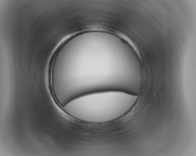 X0000113011147200908270934