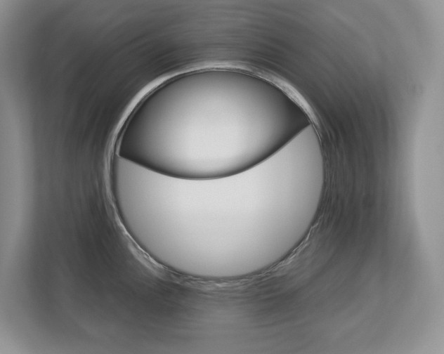 X0000113011148200908270934