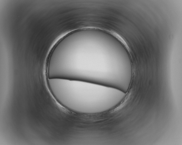 X0000113011149200908270934