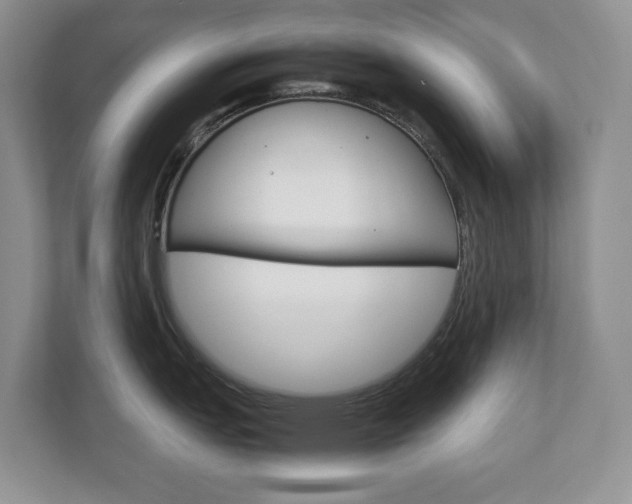 X0000113011151200908270934