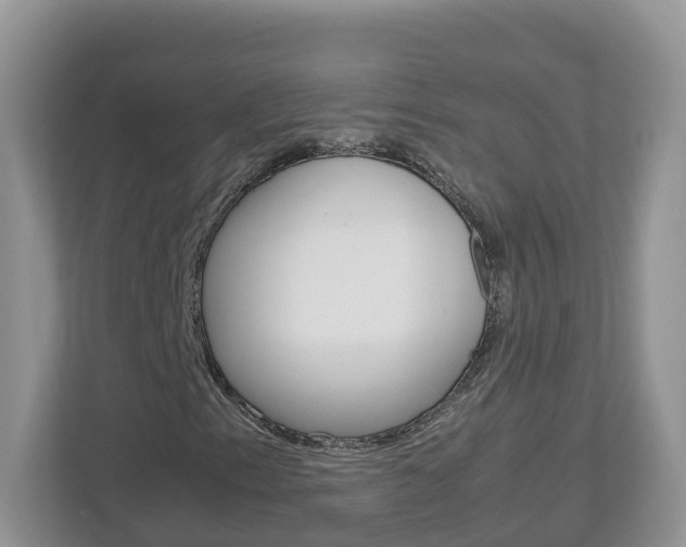 X0000113011153200908270934