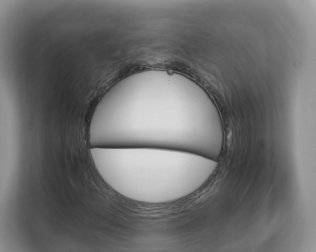 X0000113011156200908270934