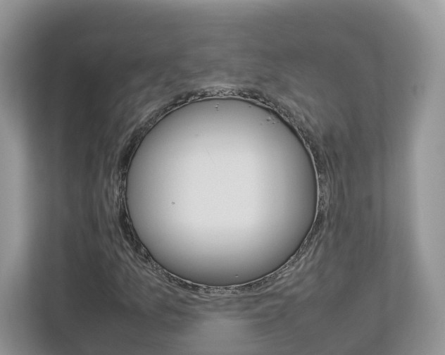 X0000113011157200908270934