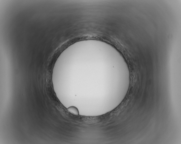 X0000113011158200908270934