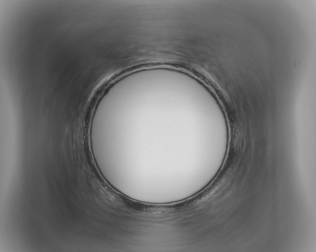 X0000113011163200908270934