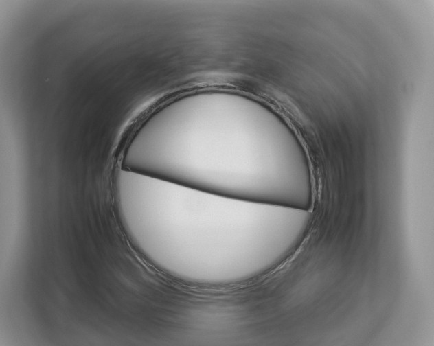 X0000113011164200908270934
