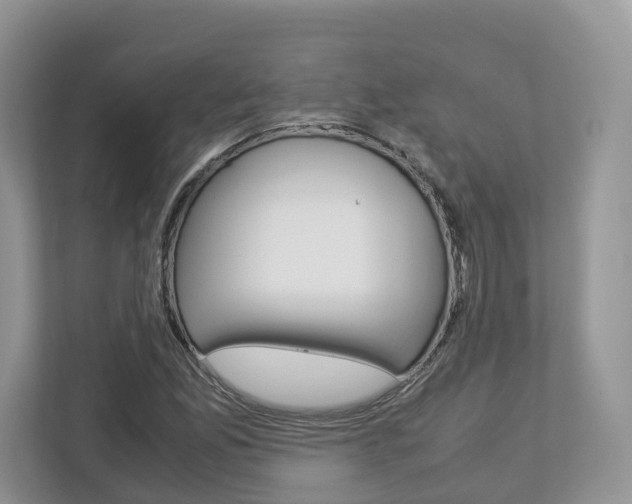 X0000113011165200908270934