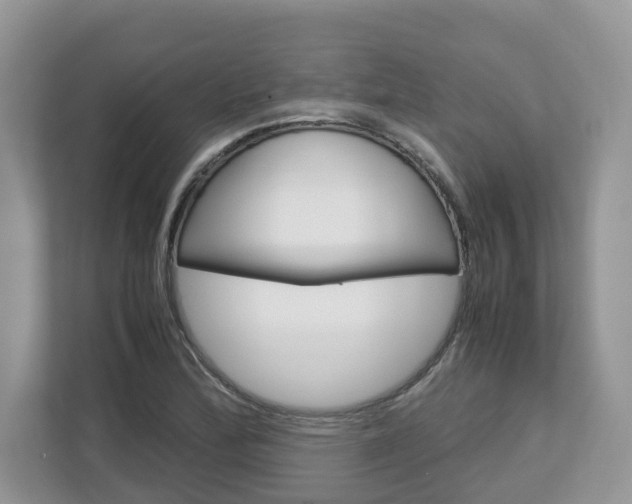 X0000113011172200908270934