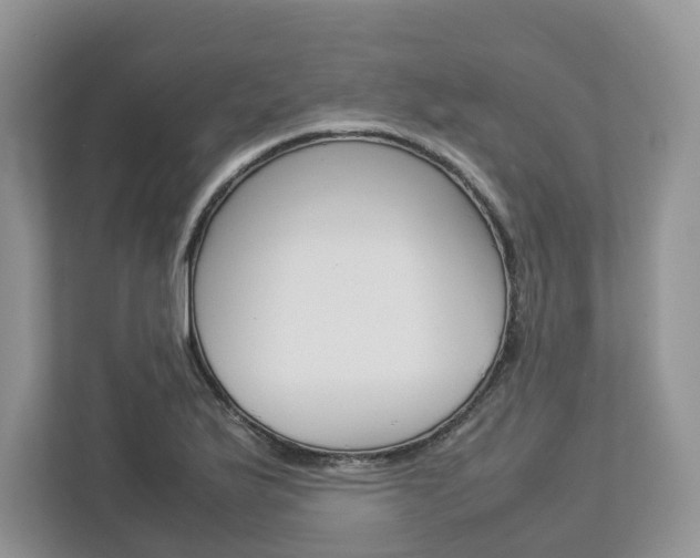 X0000113011175200908270934