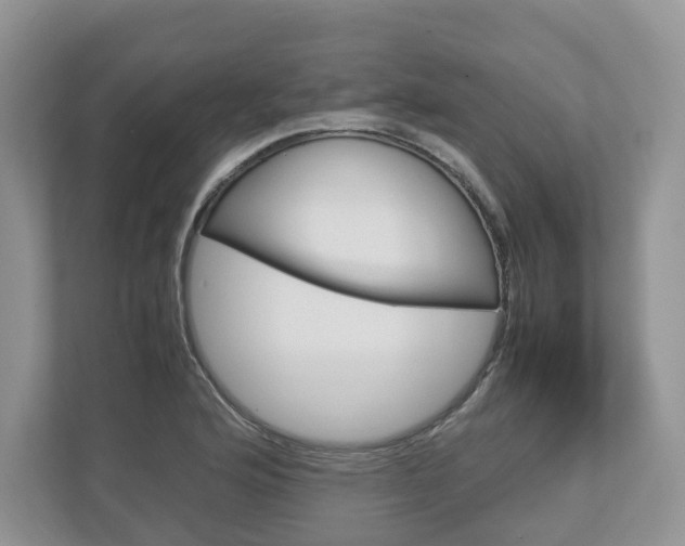 X0000113011176200908270934