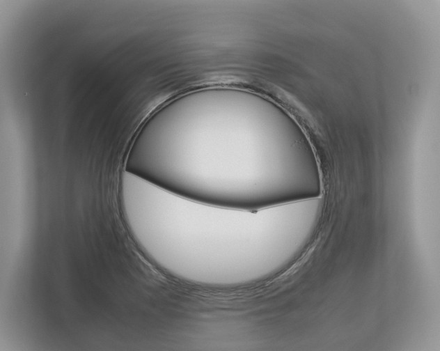 X0000113011177200908270934
