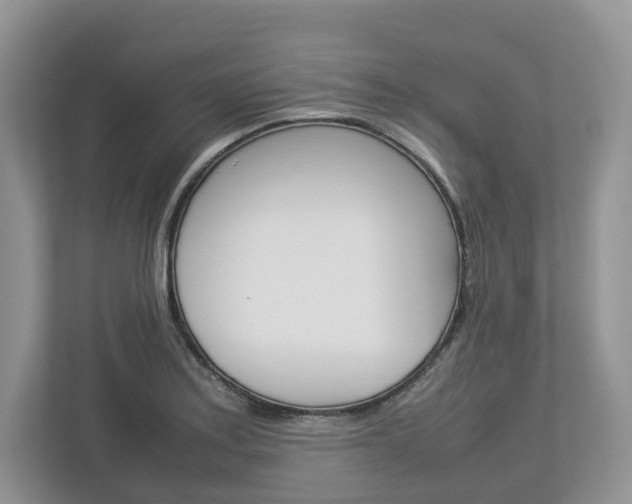 X0000113011179200908270934