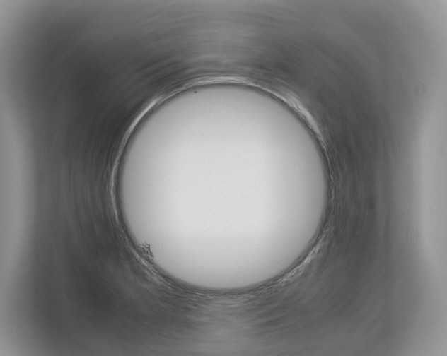 X0000113011181200908270933