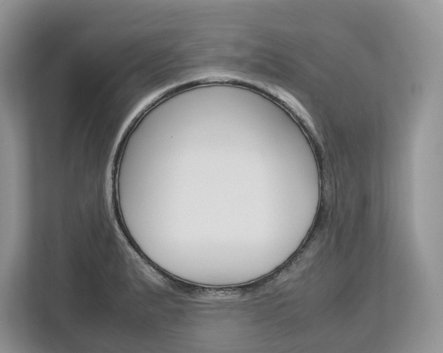 X0000113011183200908270933