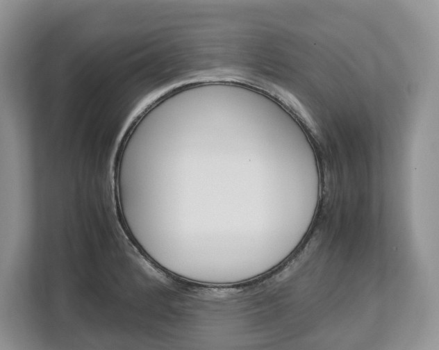 X0000113011184200908270933