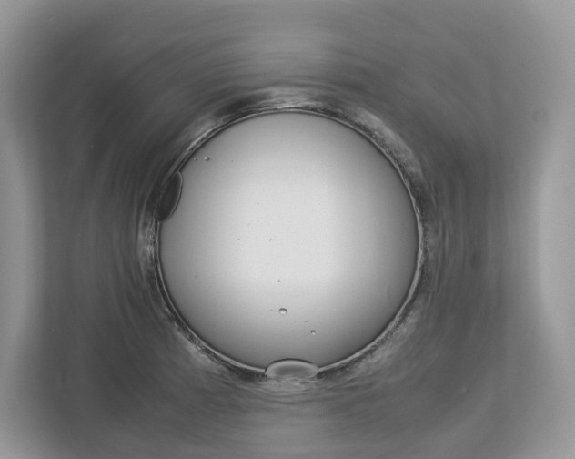 X0000113011185200908270933