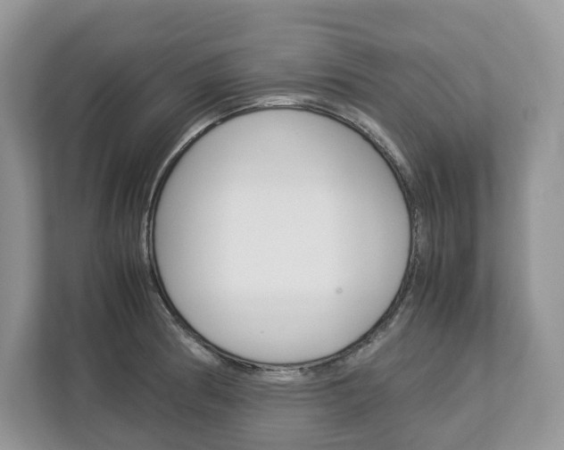 X0000113011186200908270933