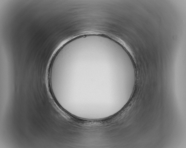 X0000113011187200908270933