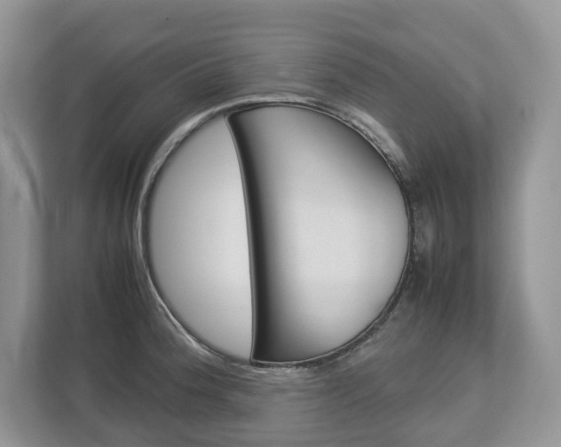 X0000113011188200908270933