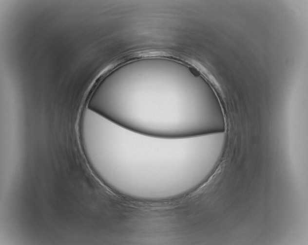 X0000113011189200908270933