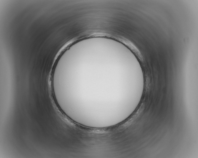 X0000113011190200908270933