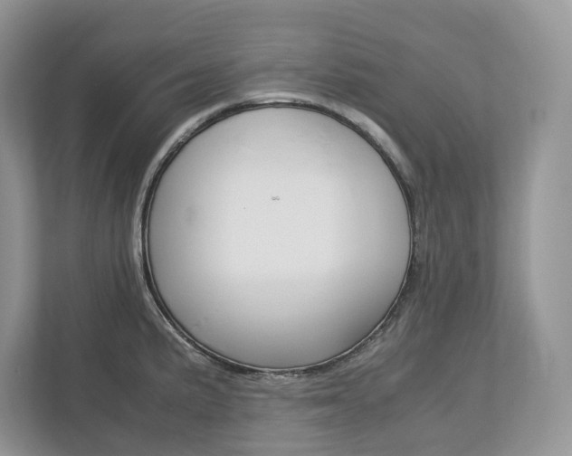 X0000113011191200908270933