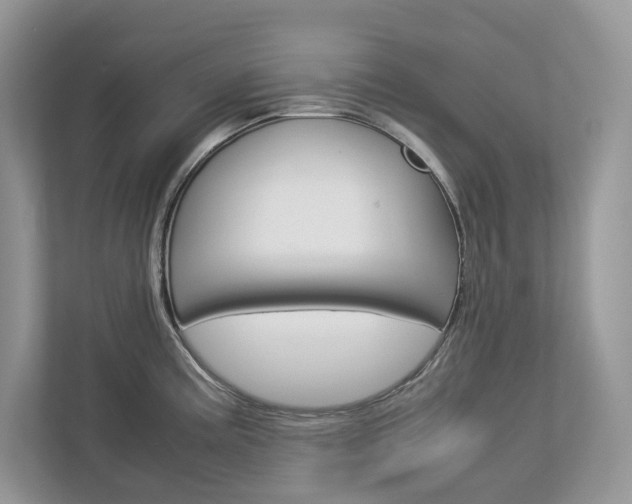 X0000113011195200908270933