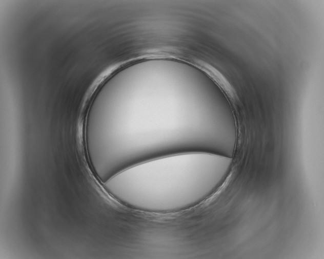 X0000113011196200908270933