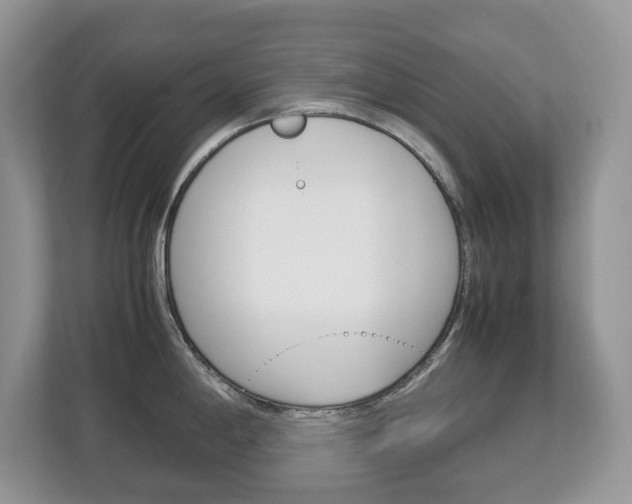 X0000113011198200908270933