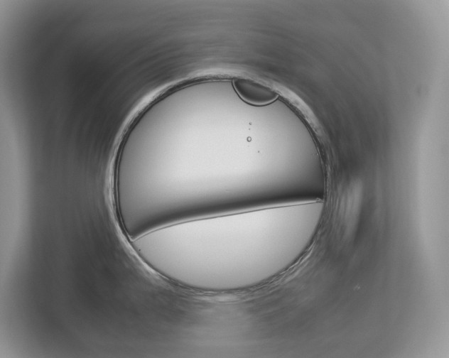 X0000113011199200908270933