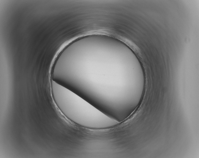X0000113011200200908270933