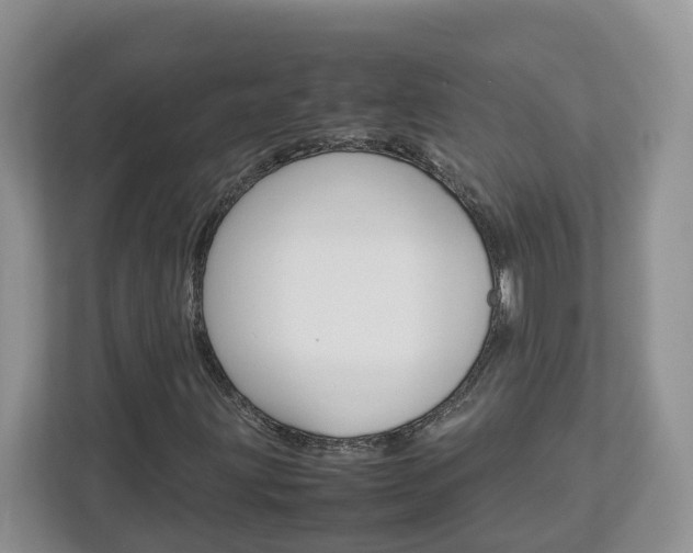 X0000113011203200908270933