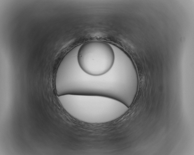 X0000113011205200908270933