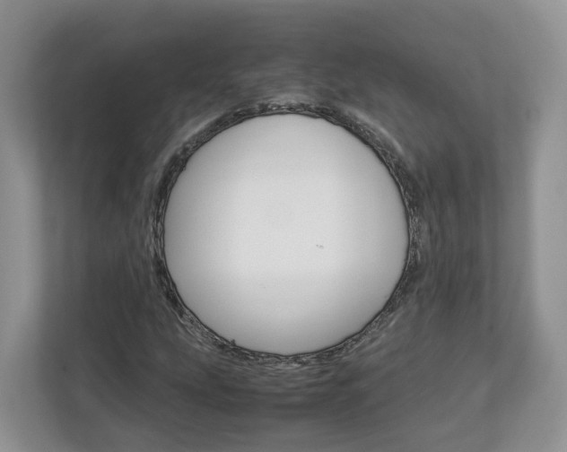 X0000113011207200908270933