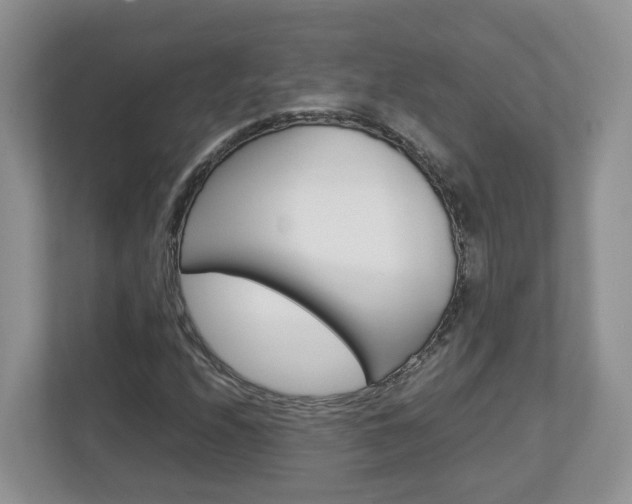 X0000113011208200908270933