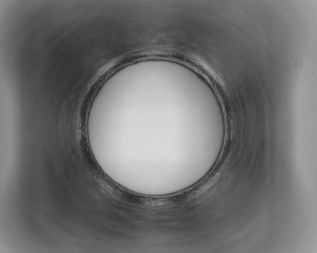 X0000113011213200908270933