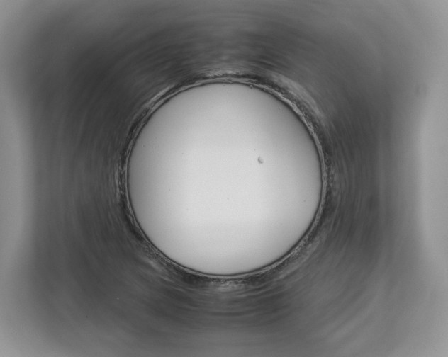 X0000113011217200908270933